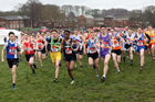 Junior boys 2019 New Balance English Schools Cross Country Champs, Temple Newsam, Leeds. Photo:  David T. Hewitson/Sports for All Pics